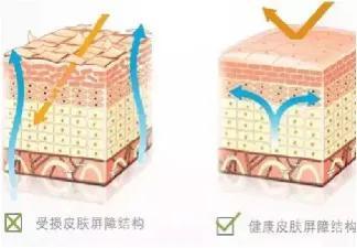 怎么保养脸部皮肤，怎么才能美白脸部皮肤（带你了解不同皮肤的护理步骤）