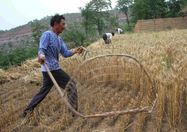 农具大全名称加图片，农具名称图解（过去夏收季节常用的10种农具）