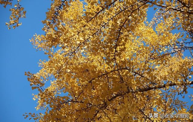 如何选择uv镜，怎么选择uv镜（CPL偏光镜、ND减光镜、UV镜如何选）