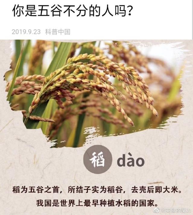 五谷丰登指的是哪五谷，五谷丰登是哪五谷（你知道“五谷丰登”是哪“五谷”吗）