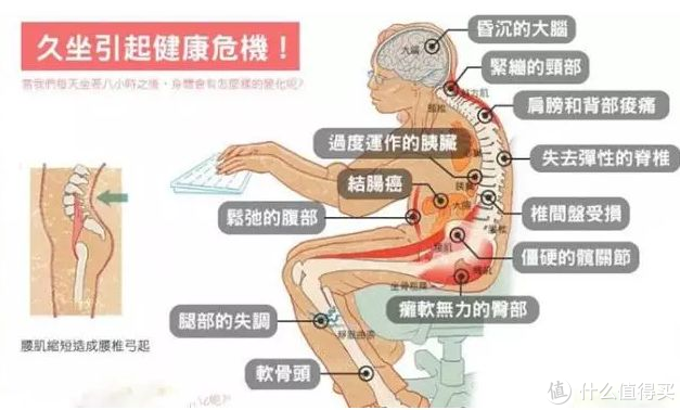 办公逸（人体工学椅）