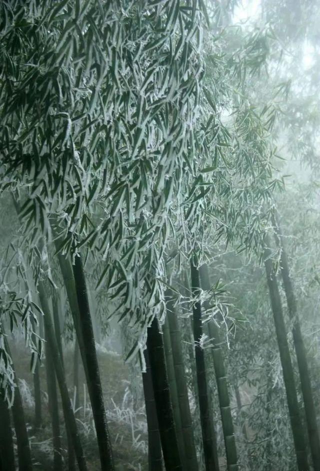 涪如何读（涪怎么读，涪怎么读音是什么读（一直被读错的地名）