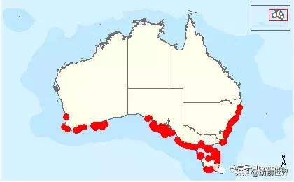 企鹅都有哪几种分别生活在哪里呢，企鹅都有哪些（详解世界上的18种企鹅<一>）