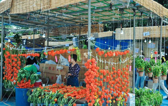 有一种野果叫珍珠果，人称“吉祥果”
