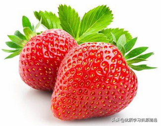 banana复数形式英语，英语语法-可数名词与不可数名词