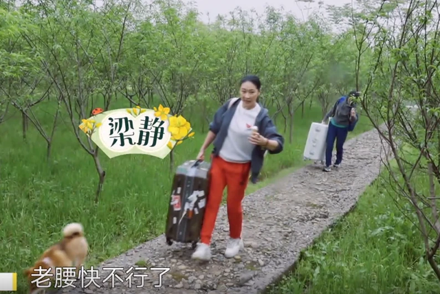 向往的生活彩灯是什么品种，向往的生活里的彩灯是什么动物（那英成《向往的生活》最“炸场”嘉宾）