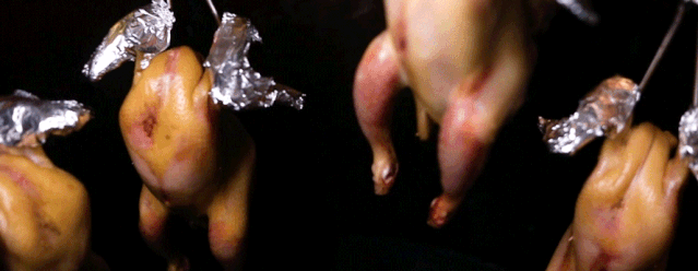 请问深圳哪里有非常好吃的烧鸡，深圳哪里的鸡煲好吃（2个月连开3家店）