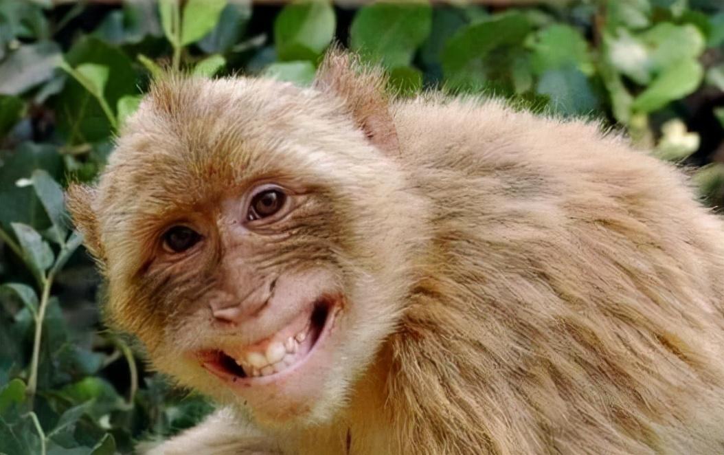 天津外国语大学校历（天津高校放寒假时间已公布）