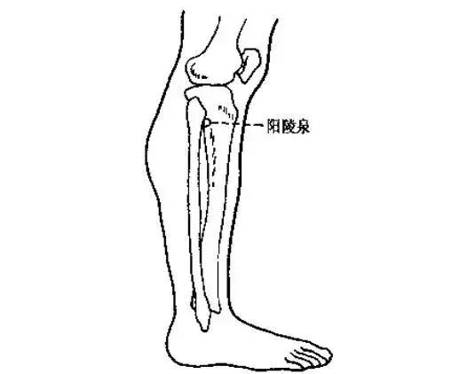 交而不泄的训练方法，硬气功入门（坚持这4种方法）