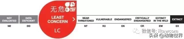 企鹅都有哪几种分别生活在哪里呢，企鹅都有哪些（详解世界上的18种企鹅<一>）