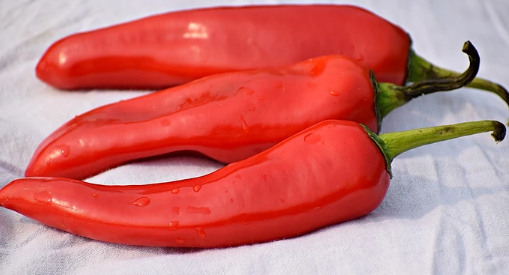 感冒要注意什么，感冒该注意些什么（介绍5种宜吃食物和5种忌吃食物）