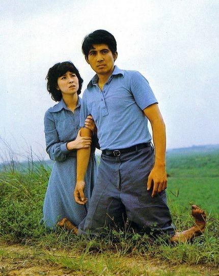 彩云在飞跃，彩云在飞跃电影简介（29岁急流勇退做“龙嫂”）