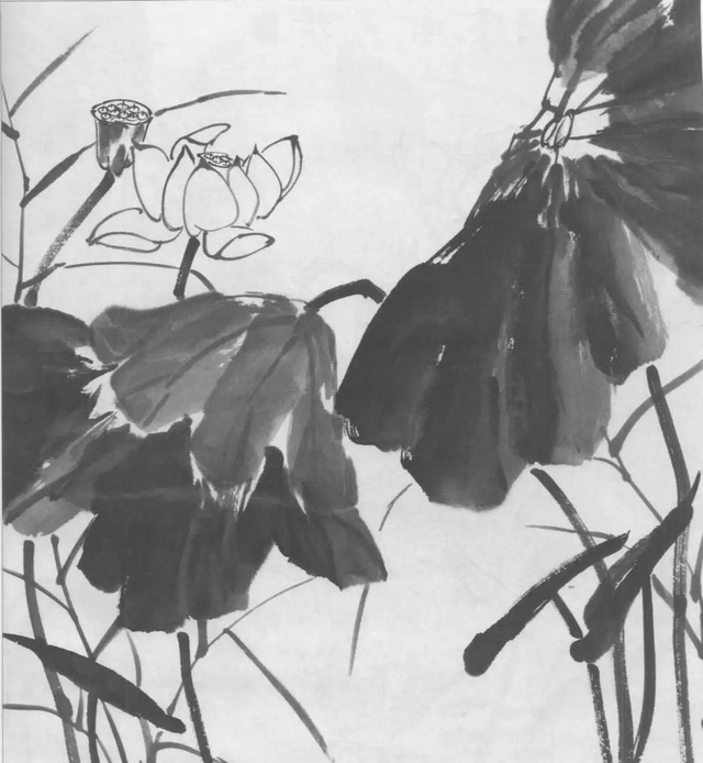 水墨画初学者入门教程，水墨画入门教程（图文教程：画水墨荷花）