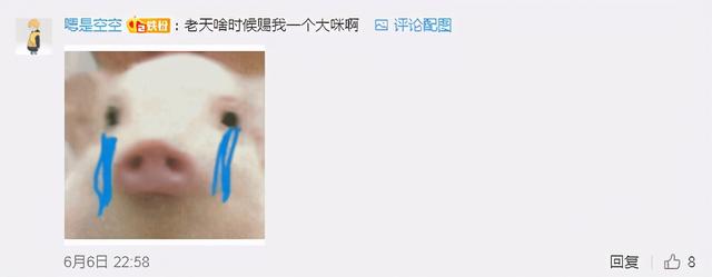 猫的灵性有多强，猫界最有灵性的四种猫（一只猫可以多有灵性）