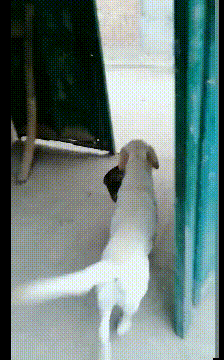 一人吃饱全家不饿什么意思，一人吃饱,全家不饿啥意思（搞笑：难道这就是传说中的）