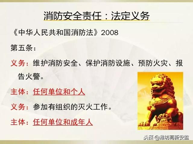 消防安全责任制度，消防安全责任管理制度（消防安全责任制）