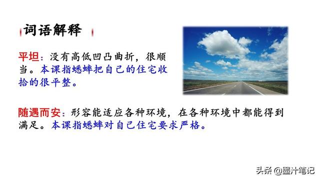 蟋蟀的住宅指的是什么，蟋蟀的住宅 是指什么（第三单元《蟋蟀的住宅》课文讲析）