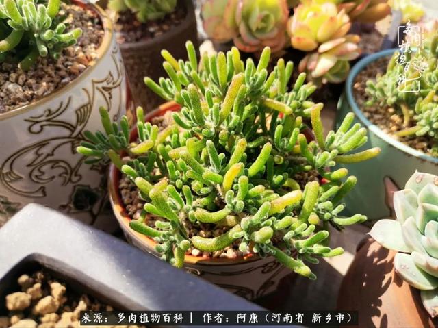 2021九·一八事变是多少周年，2021年是九一八事变的几周年（献给2021最好的春天）