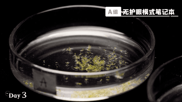 如何开启电脑防蓝光护眼呢，电脑如何关闭防蓝光护眼（我们把实验搬去了“太空”）