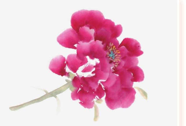 牡丹花简笔画简单又好看，简笔画画牡丹花（适合零基础绘画者学习）