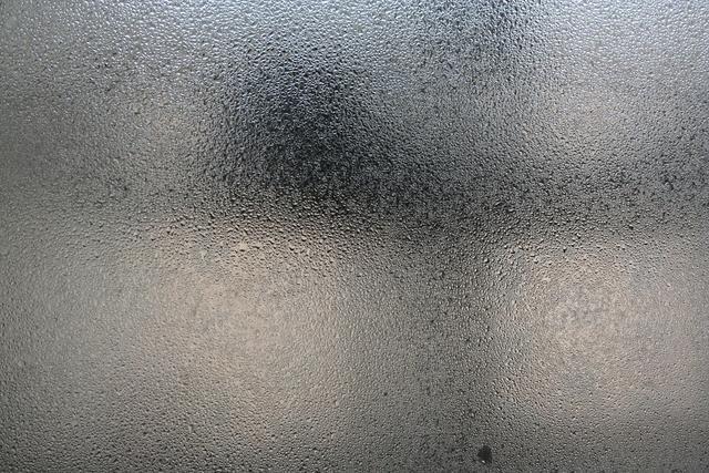 蜻蜓的特点是什么，蜻蜓的特点是什么技能（蜻蜓的特点是什么）