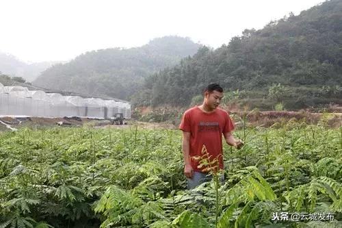  农业生产条件包括什么，改善农业生产条件 