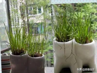 如隔三秋上一句,如隔三秋上一句成语是什么(藏头打油小诗/一日不见如隔三秋) 如隔三秋上一句,如隔三秋上一句成语是什么(藏头打油小诗/一日不见如隔三秋)