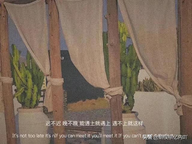 聚散不由我