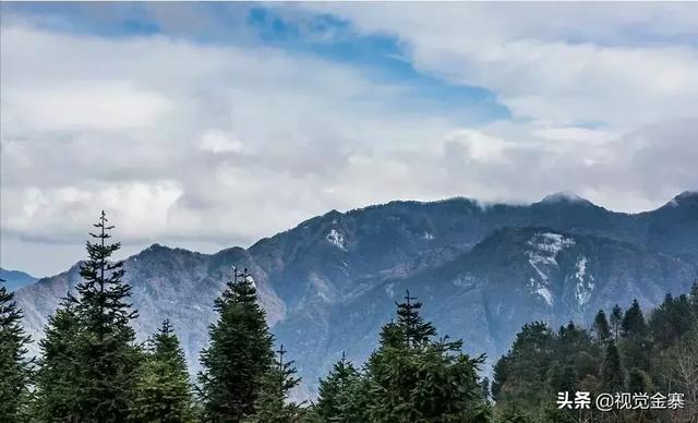 金寨特产，六安金寨特产（大别山里的特产：金寨山核桃）