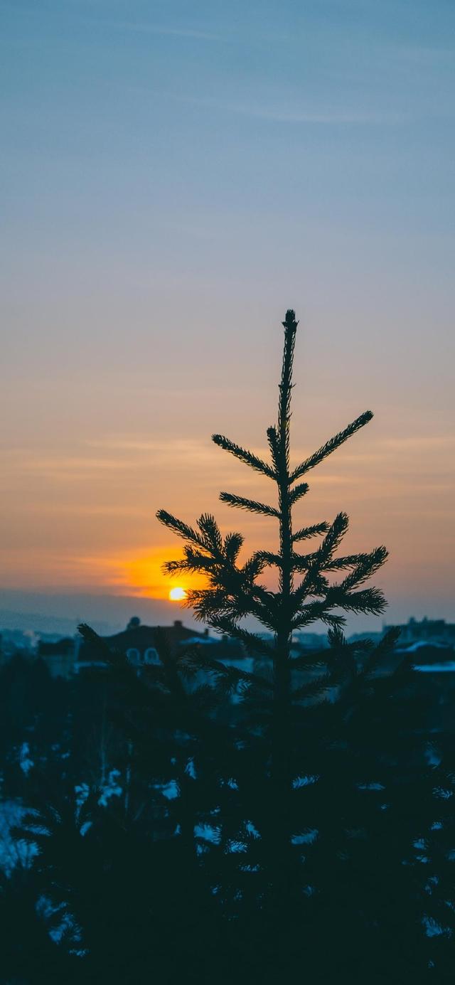 唯美夕阳照射意境图，微信头像，唯美夕阳照射意境图（唯美意境晚霞落日壁纸）