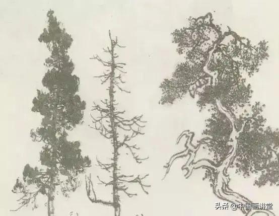 大树怎么画，大树怎么画的特别好看（缠枝、挺杆、屈节、钮裂、一棵树如何画）