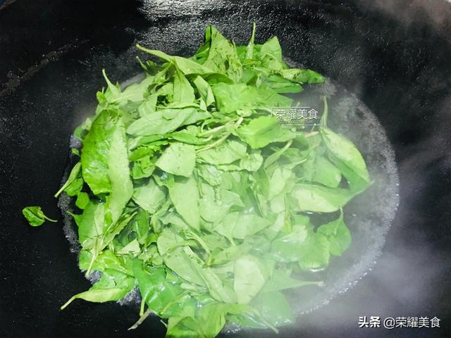 枸杞叶可以吃吗，枸杞的用处和功效（睡眠差的人要多吃枸杞叶）