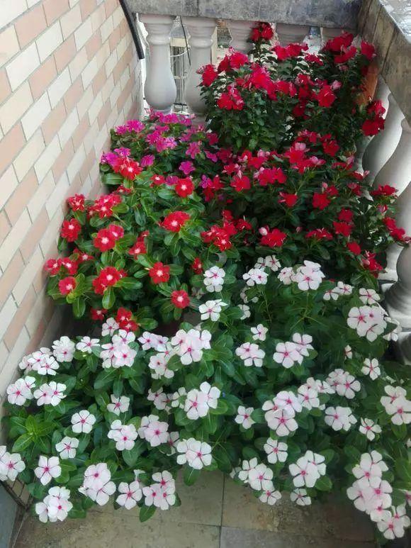 雨水是酸性还是碱性，正常雨水是酸性还是碱性（下雨多淋“雨水”）