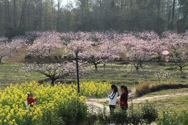 宏村在哪里，安徽宏村在哪里（宏村、西递等旅游景区恢复开放）