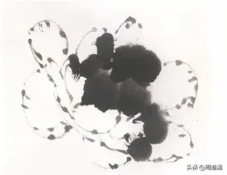 牡丹花头的画法对照表，写意牡丹花头的各种画法