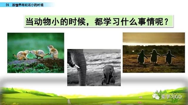 世汉字读音解释介绍，世的拼音（部编版二年级下册第24课《当世界年纪还小的时候》知识点图文讲解）