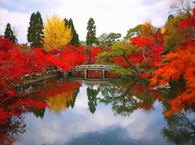 赞美秋天的诗句，赞美秋天景色的古诗（十首最美的秋日诗词）