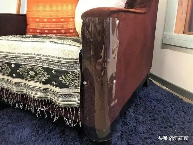 怎么防止猫咪抓沙发，怎么防止猫咪抓沙发跑（终于找到让猫咪不挠沙发的办法了）