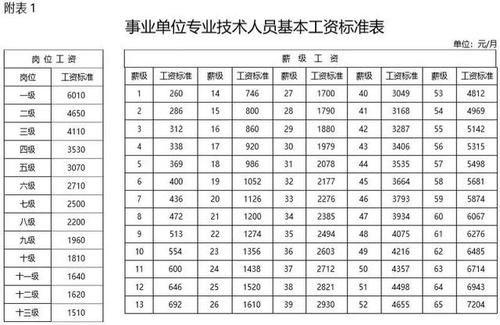公务员职务职级，公务员职级对应的级别（公务员职务级别工资标准表）