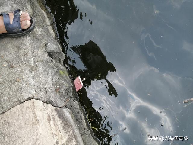 钓黄鳝技巧，用什么诱捕黄鳝最好（20个引钩3把钓钩）