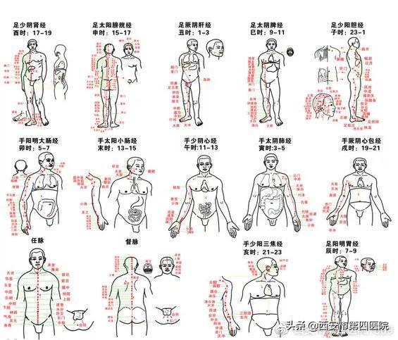 脚部反射区的自我疗法，足部反射区疗法《常用手法》《1》（足部反射区按摩）