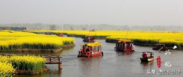 几处早莺争暖树下一句是什么，几处早莺争暖树下一句是什么古诗（几处早莺争暖树）