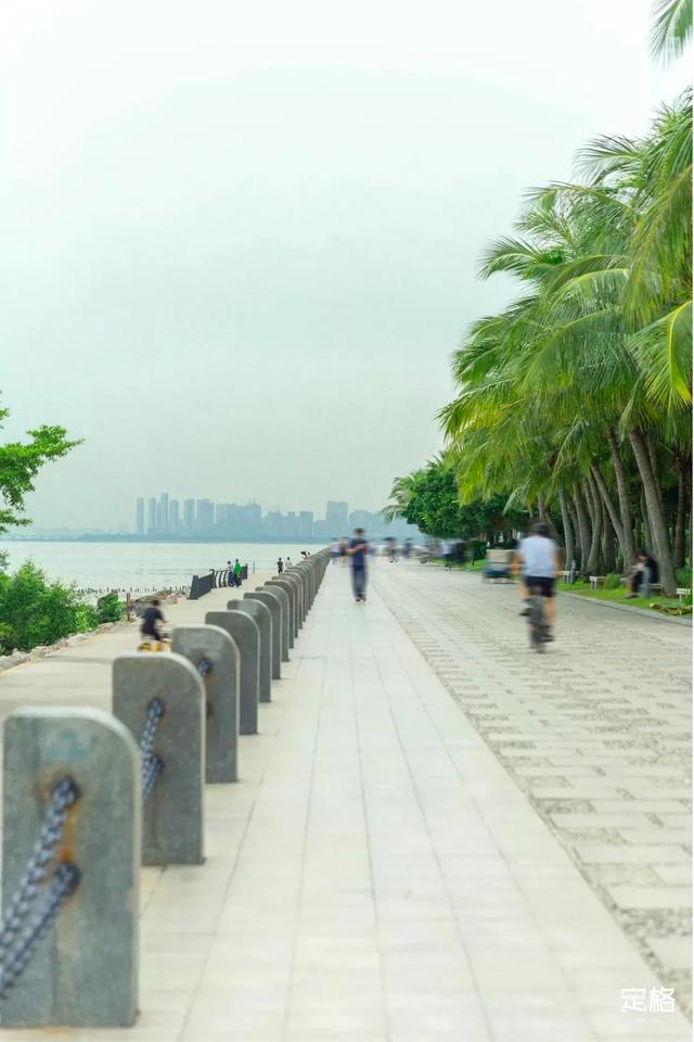 深圳哪里好玩又便宜，深圳哪里好玩又便宜的地方（《11月深圳打卡指南》来了）