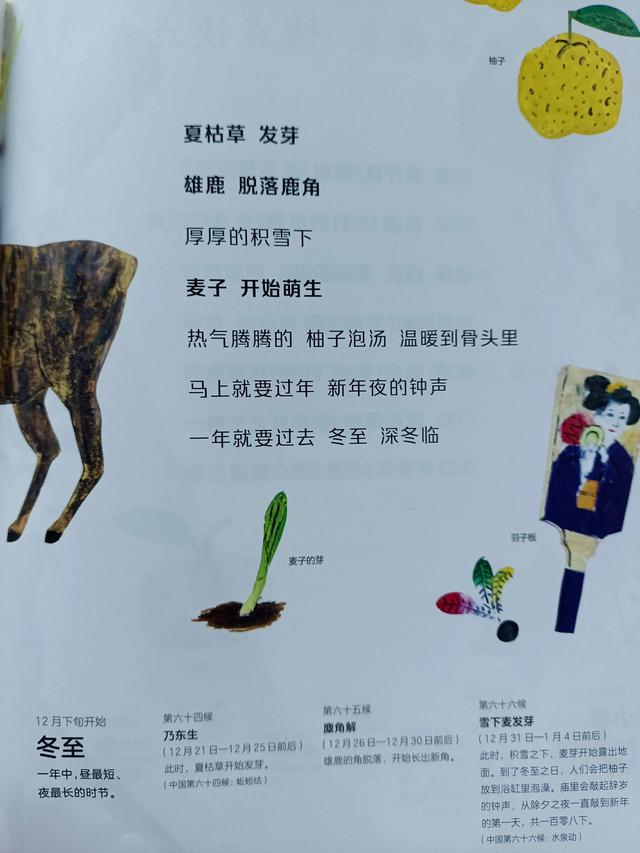 四季是按什么划分的，四季是如何划分（一年四季二十四节气）