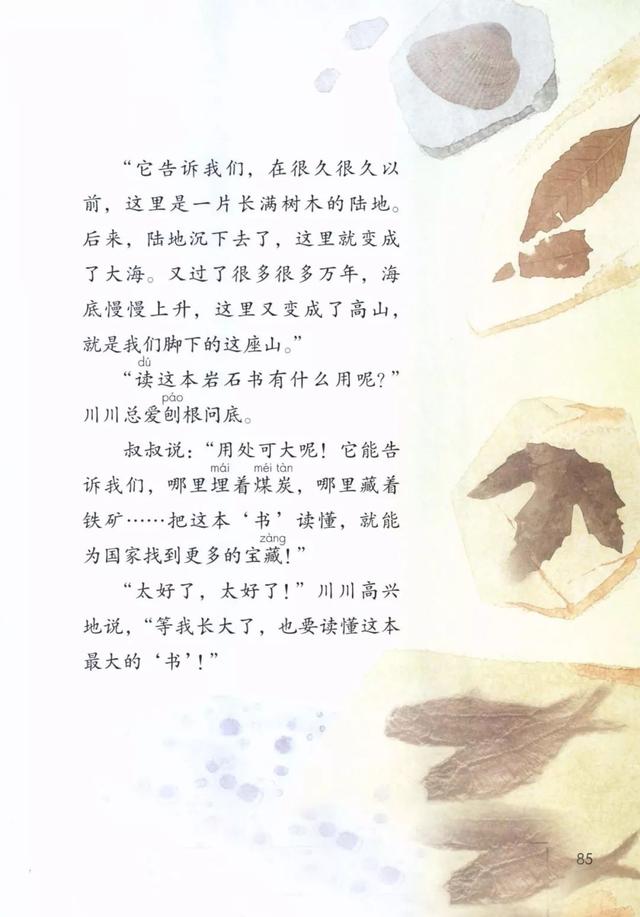 最大的书读后感怎么写，最大的书的读后感（部编版小学语文二年级下册我爱阅读《最大的“书”》图文解读）