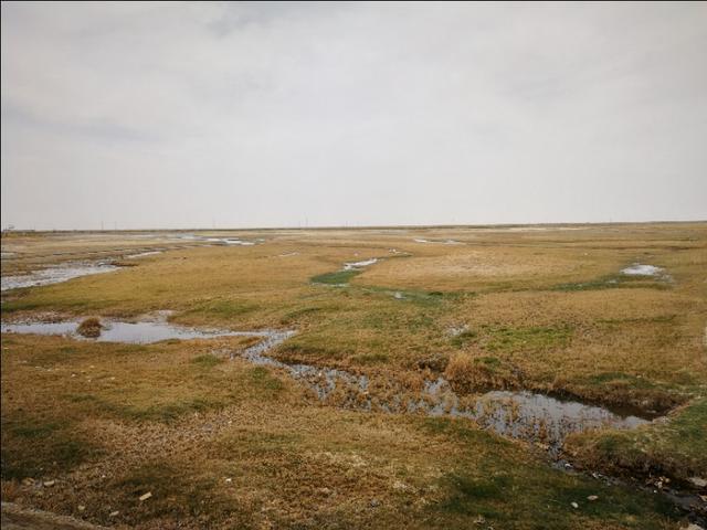 格尔木市海拔多少米，格尔木海拔高度是多少米（格尔木翻天覆地的变化）