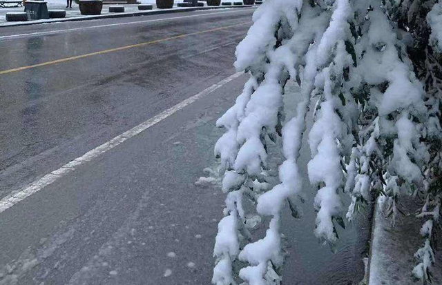 冬天是怎么样的，今年冬天会冷到什么程度（60年来最冷冬天会来吗）