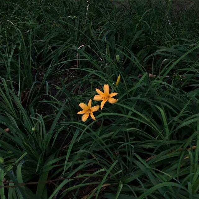 网红同款背景图   炒鸡有风格☁，背景图案网红（炒鸡nice的微信QQ背景图片）
