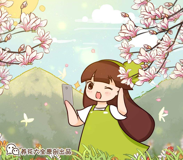 马蹄莲的养殖方法，马蹄莲的养殖方法是什么（还能四季花开不断）