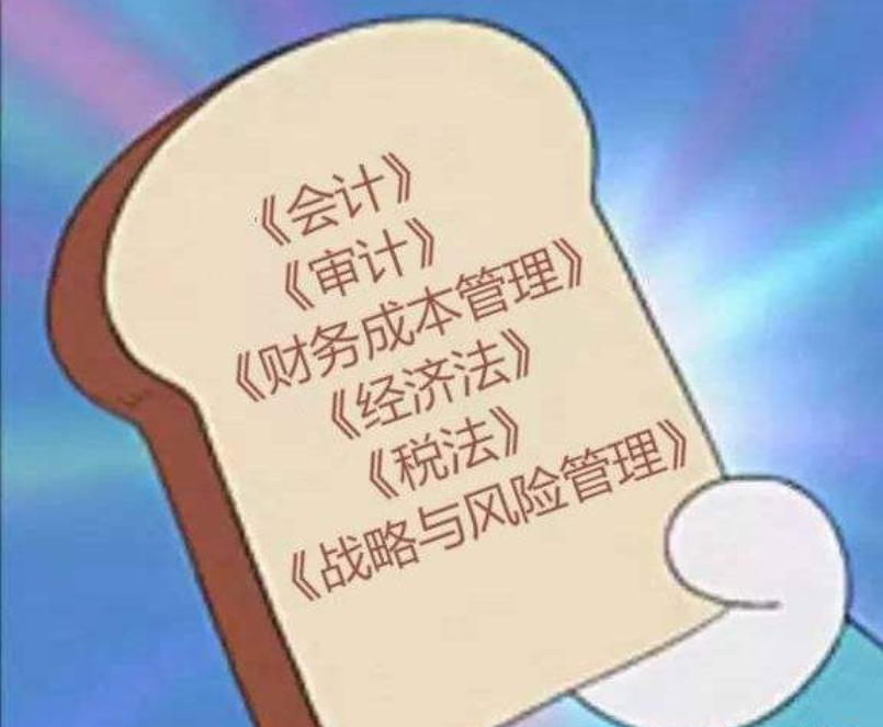 icpa国际注册会计师（中国注册会计师）